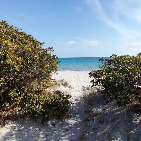 In Shared Quarto em Acomodações Particulares *